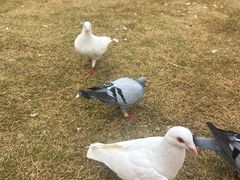 -渭南桃花源民俗文化园