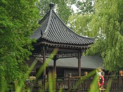 -溱湖国家湿地公园