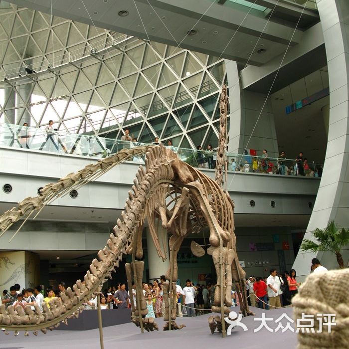 上海科技馆kjg-人体器官演示图片-北京科学博物-大众点评网