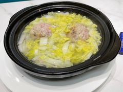 -丁老爷子苏香圆