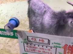 -正佳雨林生态植物园