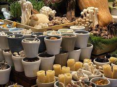 -亚马逊蒸汽活海鲜自助(LCM置汇旭辉广场店)