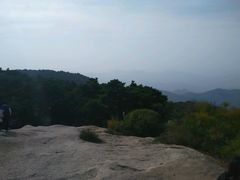 -鲁山国家森林公园