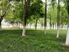 -西北湖绿化广场