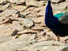 -南京金牛湖风景区