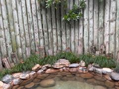 -张家港金凤凰度假村温泉