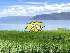 -布达拉宫