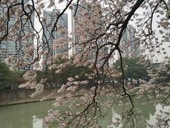 -红星桥(地铁站)