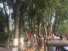 -回龙观体育文化公园