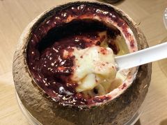原只椰子炖双皮奶-仁信老铺(华盖路店)