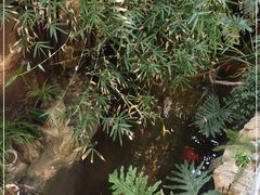 -聚缘堂·海鲜私房菜(松岭路店)