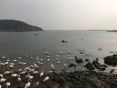 -烟墩角天鹅湖