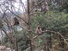 -千岛湖东南湖区