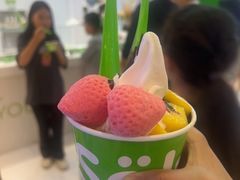 -Salud撒露欧洲冻酸奶(蓝色港湾店)