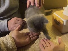 -解个谜沉浸剧情密室(天河店)