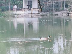 -杭州植物园
