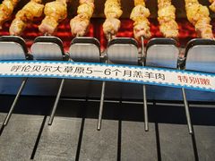 -很久以前羊肉串(朝阳路店)