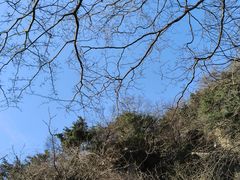 -王顺山国家森林公园