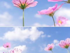 -海珠湖公园