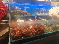 -苏格里岛自助烤肉海鲜火锅(成都金牛万达店)