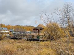 -莫尔道嘎国家森林公园