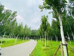 -东郊湿地公园