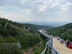 -大青山野生动物园