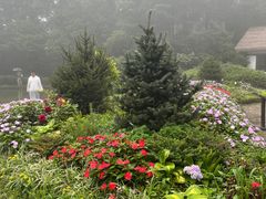 -庐山风景区花径公园