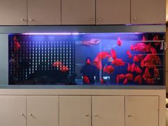 -宫七SPA·高端Massage(浦东大道店)