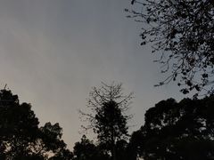 -雀儿山公园