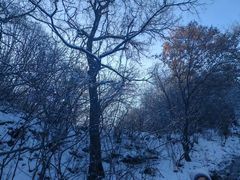 -终南山南五台景区