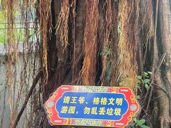 -珠海圆明新园