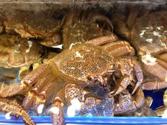 -蟹道乐(道顿堀本店)