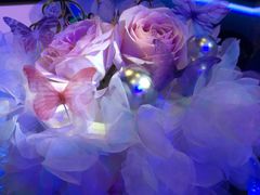 -蜜思琪蛋糕(民生路店)