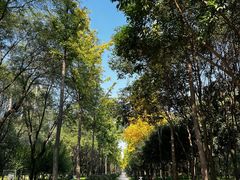 -木塔寺遗址生态公园