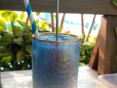 -柴犬高等学院·狗咖·柴犬售卖·宠物训练