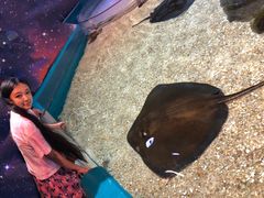 -瑞普利水族馆