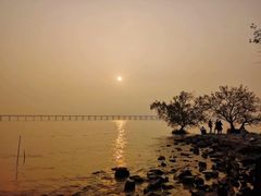 -宝安西湾红树林湿地公园