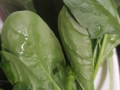-蝎王府羊蝎子(北大地店)
