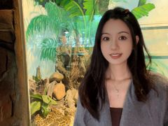 -灵玲国际马戏城