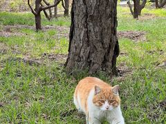 -长辛店二七公园