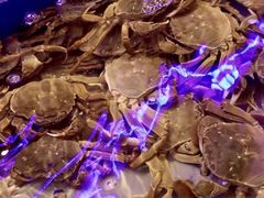 -澜悦港海鲜体验主题餐厅