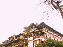 -铁山坪森林公园