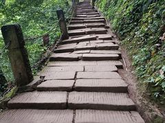 -青城山