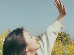 -瑶湖郊野森林公园