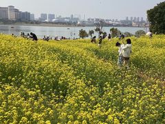 -九龙湖公园