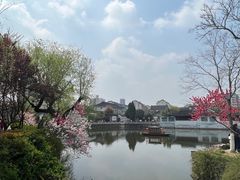 -水绘园