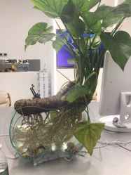 -MYYF SALON烫发染发