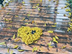 -金鸡山公园