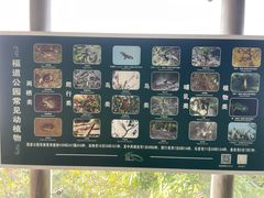 -福道